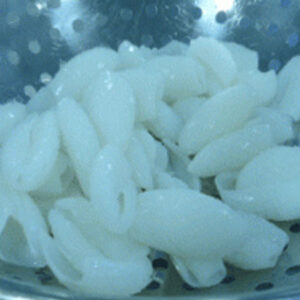 CUTTLEFISH-BLANCHED-MATSUKASA-4