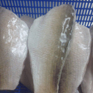 FROZEN-SEABASS-FILLET-1