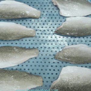 FROZEN-SEABASS-FILLET-2