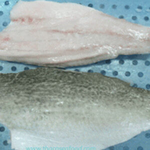 FROZEN-SEABASS-FILLET-3